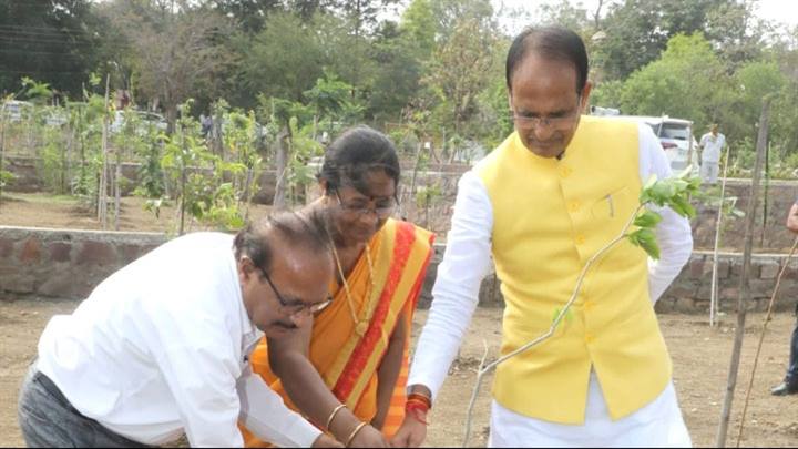 मुख्यमंत्री श्री चौहान ने पीपल, कचनार और आम के पौधे लगाए
